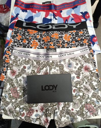 Boxer Lody - Miniatura 2