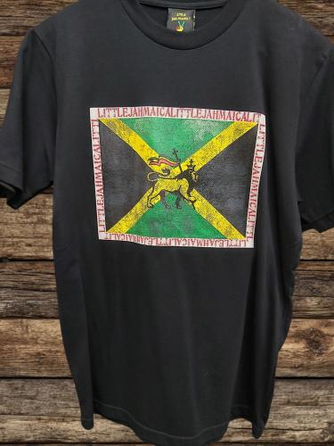 Remera Clásica Estampada
