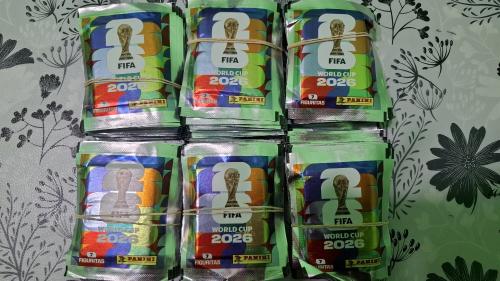 Album de Figuritas  Mundial - Miniatura 5