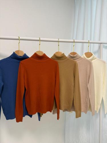 Sweater Basico Liso Polera