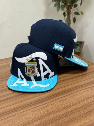 Gorras Afa Argentina Plana Premium Mundial