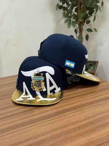 Gorras Afa Argentina Plana Premium Mundial
cientos de Modelos en Stock - Miniatura 2