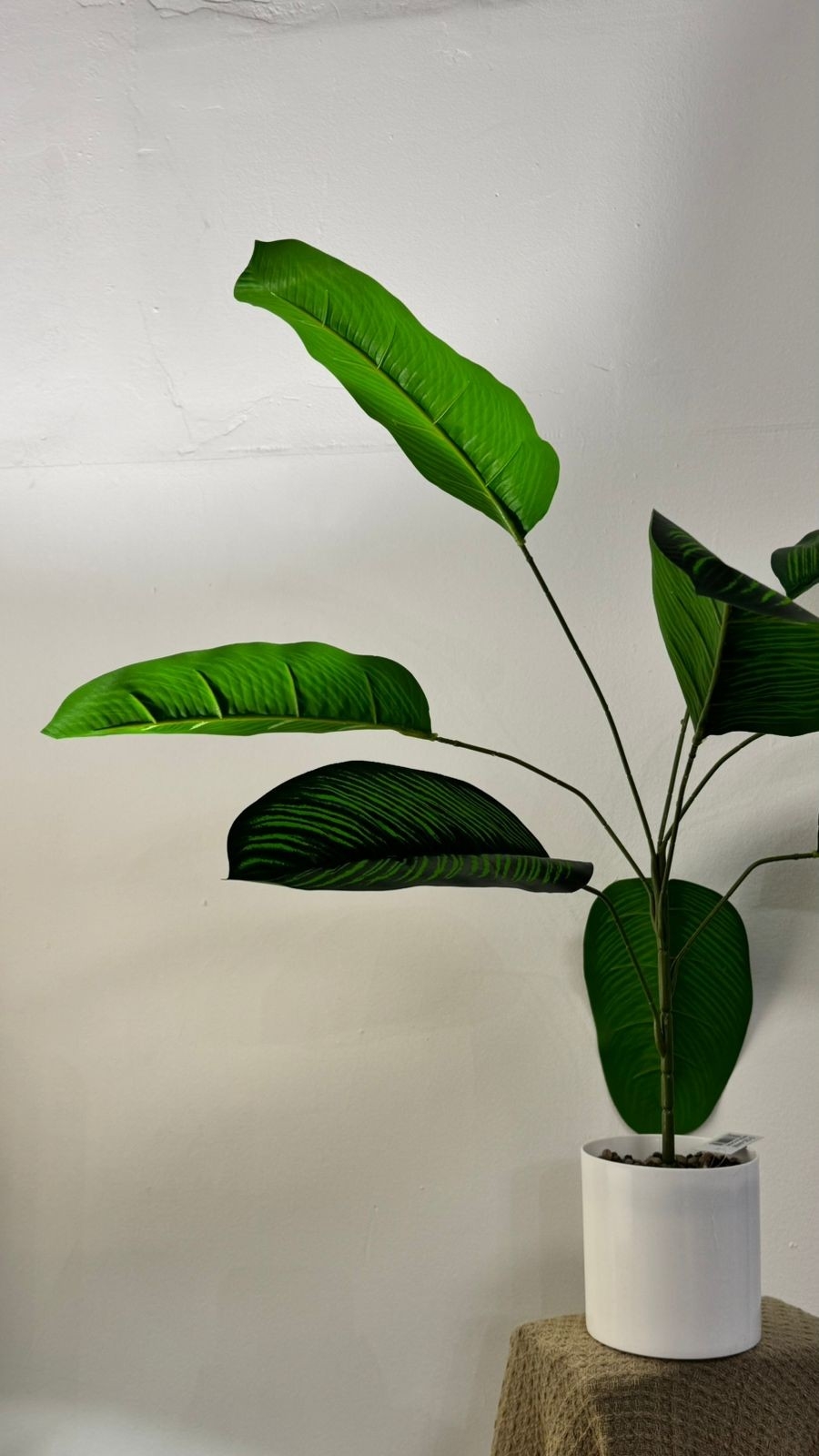 Planta Artificial - Imagen 2