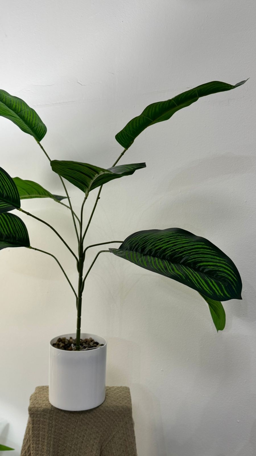 Planta Artificial - Imagen 3