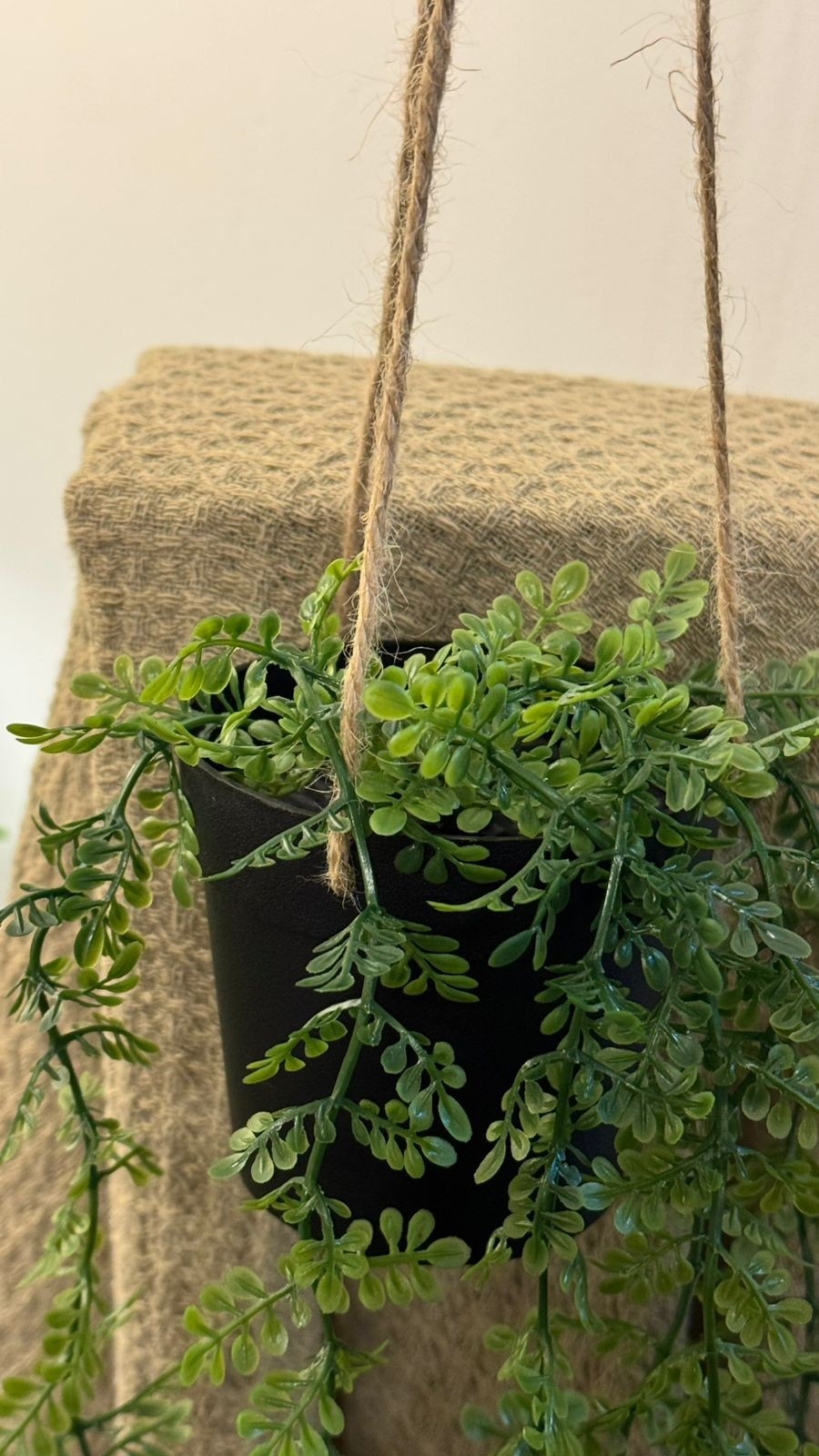 Planta Colgante Arbusto - Imagen 3