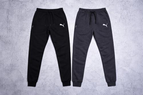 Joggins Puma