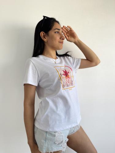 Remeras Básicas