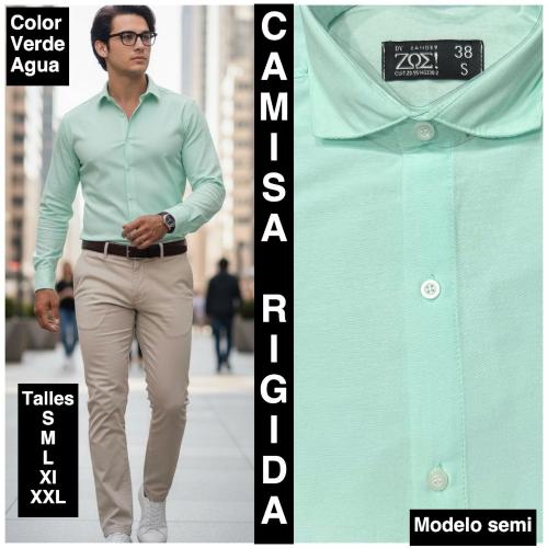 Camisas  Lisas  Rigidas Semi Entalladas