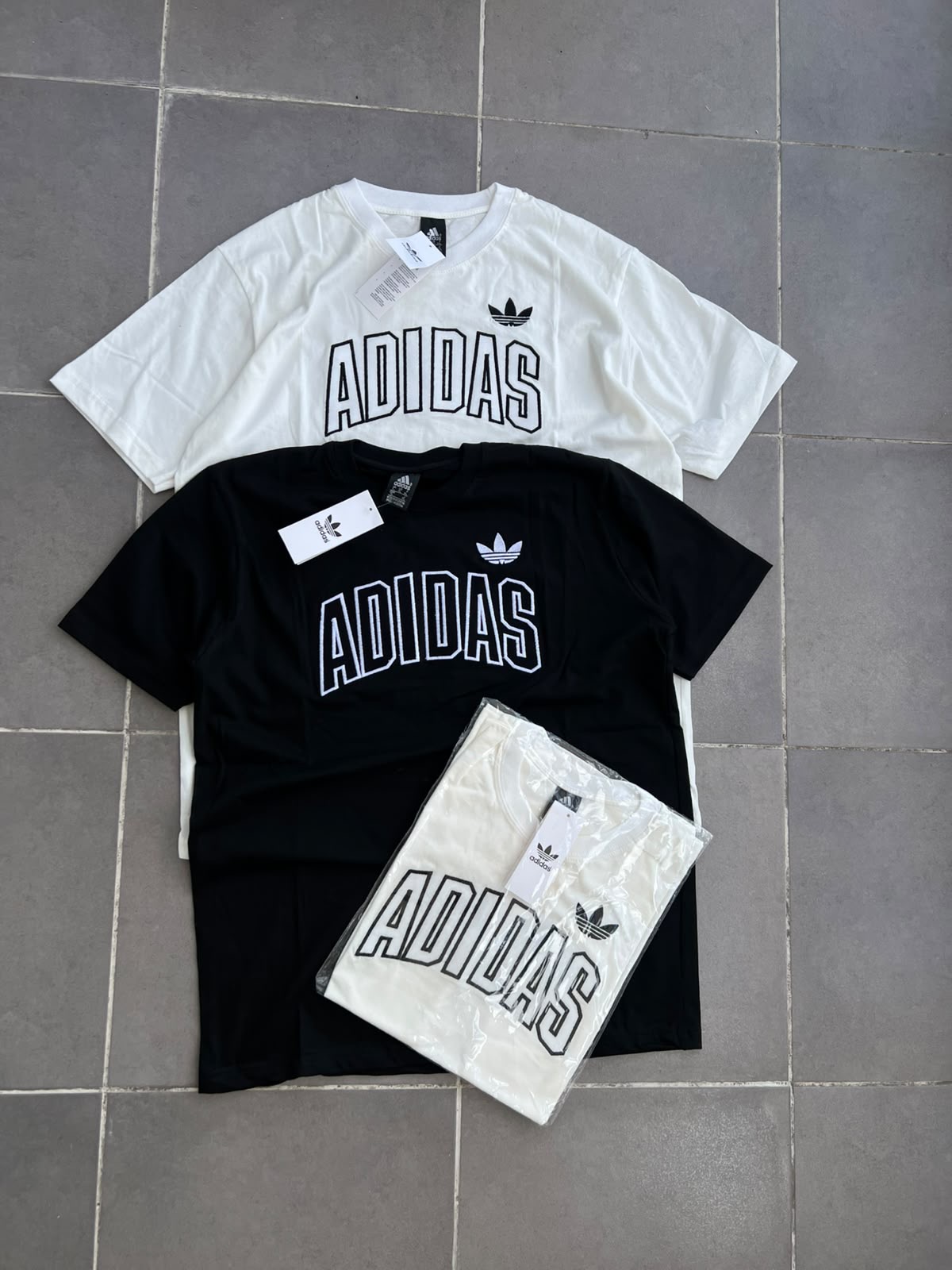 Remera Adds - e0c59743-675d-4378-ae75-b3dc77368dfa.jpeg