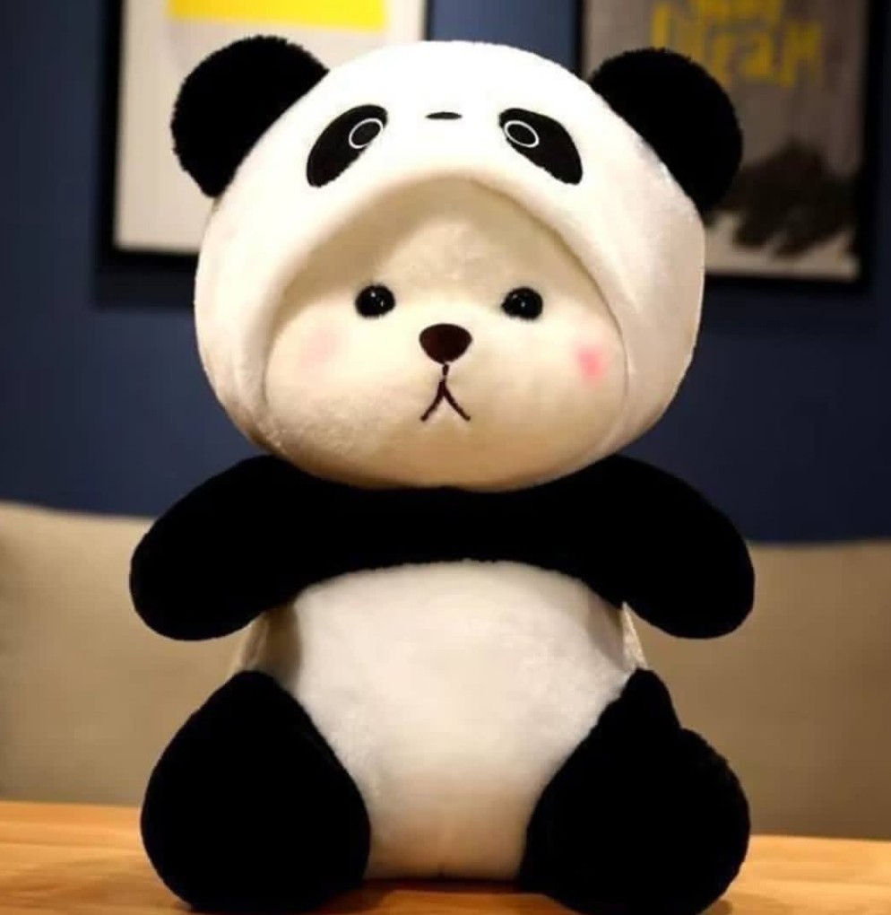 Peluches con Manta Oso con Disfraz - Imagen 2