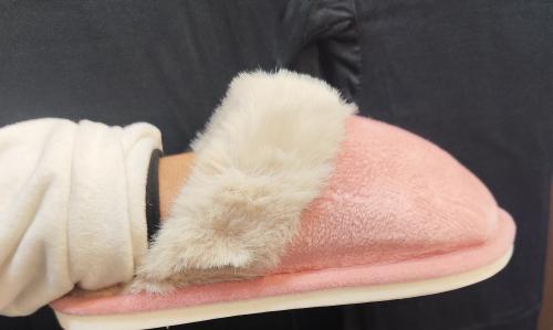 Pantufla de Dama - Miniatura 2