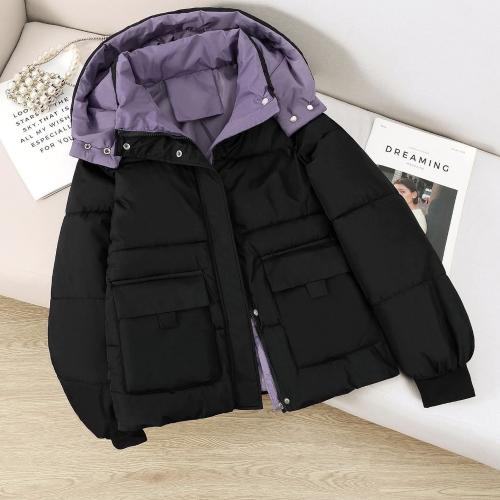 Campera Importada