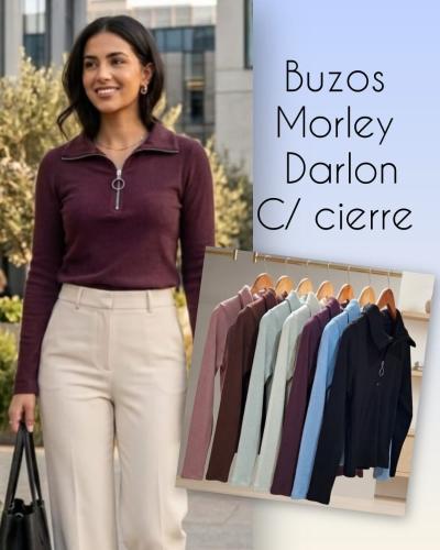 Buzos Morleydarlon