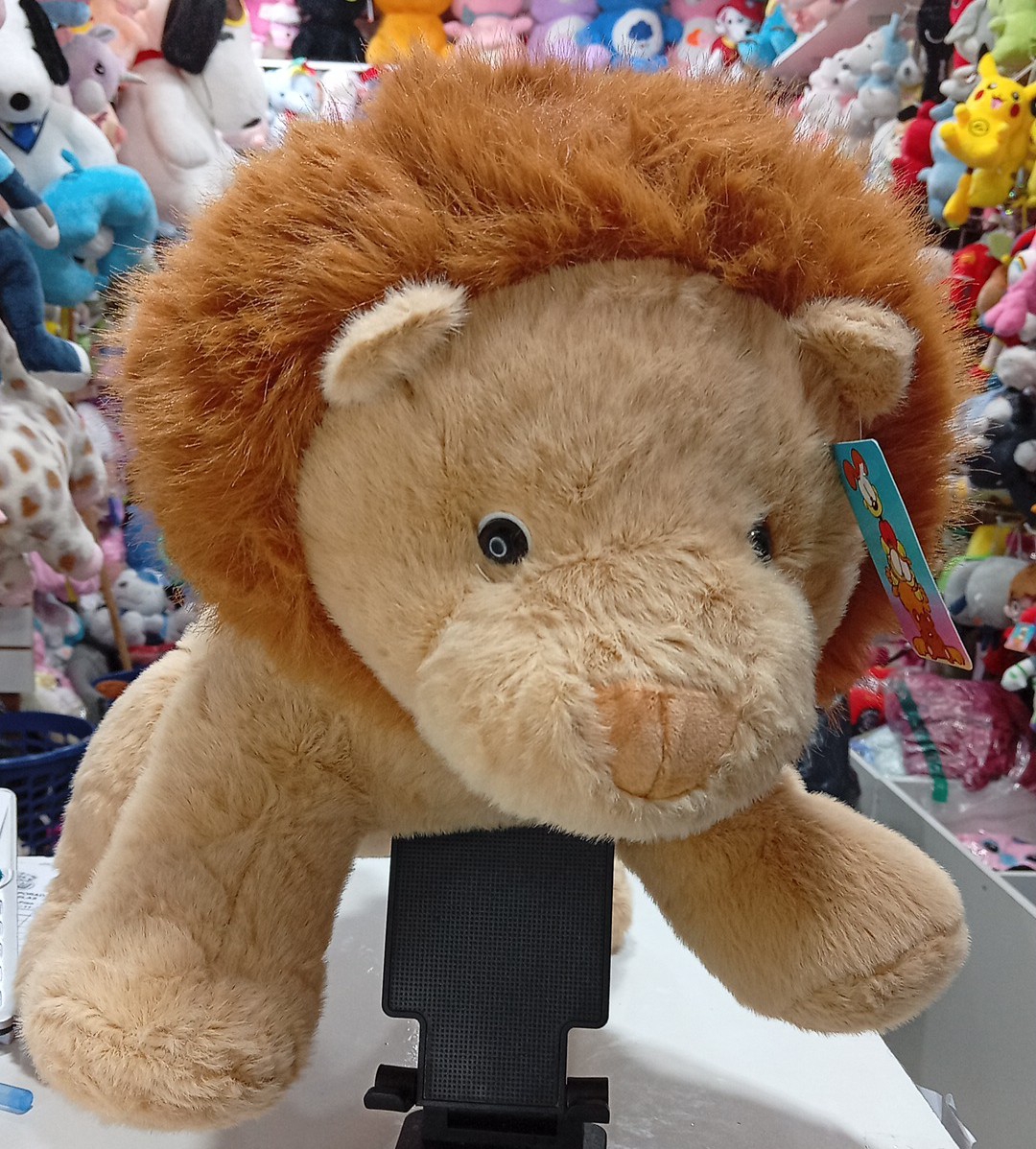 León - Imagen 1