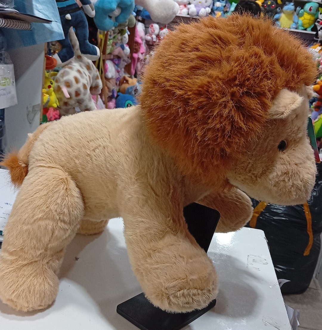 León - Imagen 2