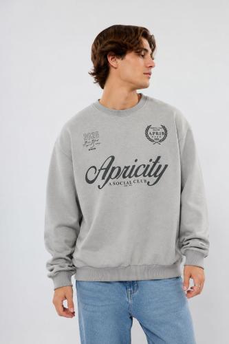 Buzo Cuello Redondo Apricity