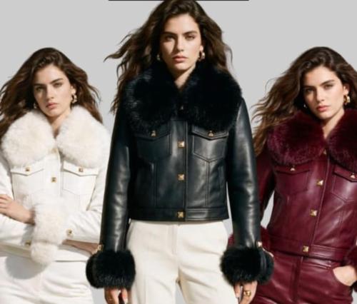 Campera Importada Yd