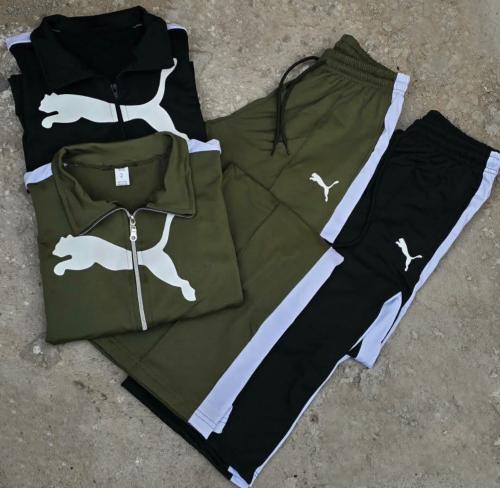 Conjunto Puma