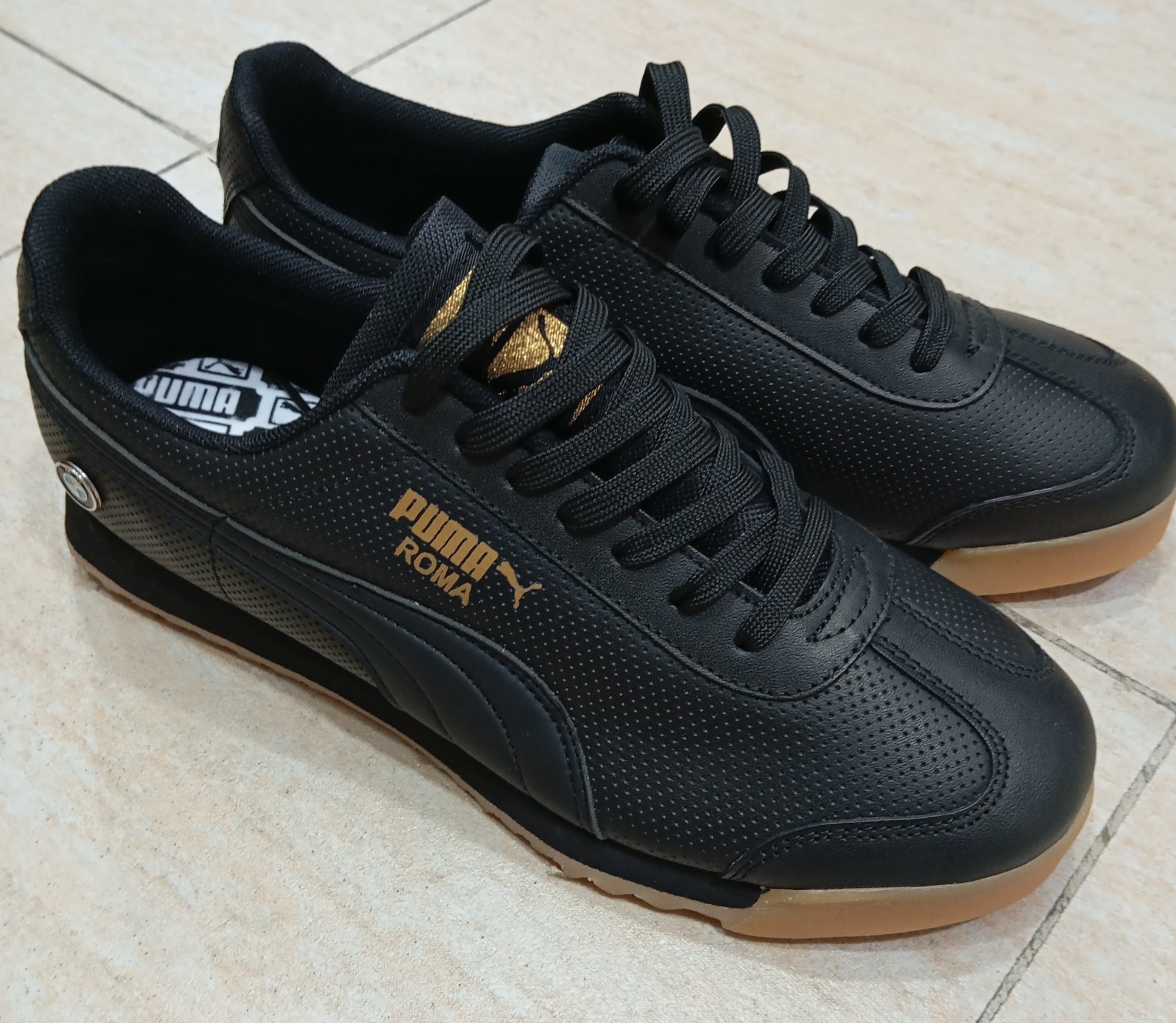 Puma Lisa - Imagen 1