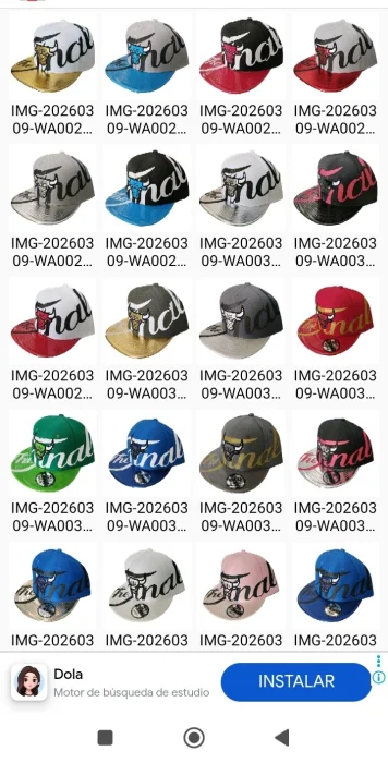 Gorras Animales