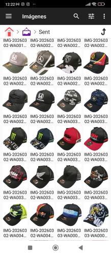 Gorras Animales - Miniatura 3