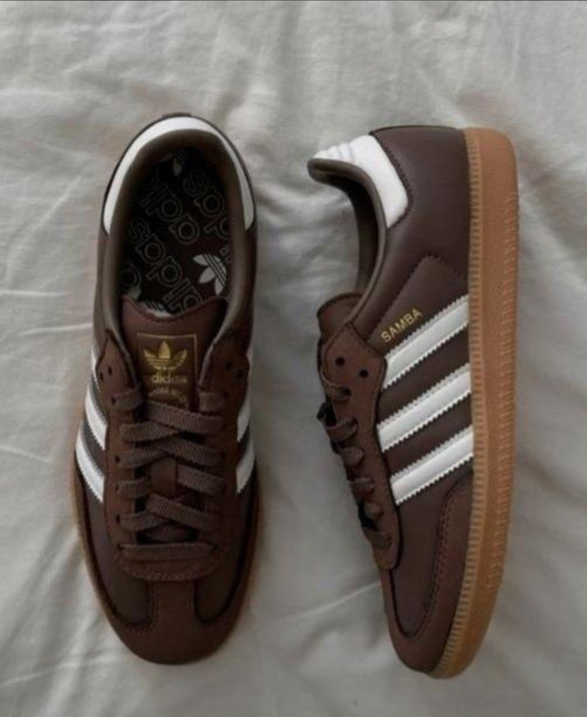 Sambas Clasic - Imagen 4