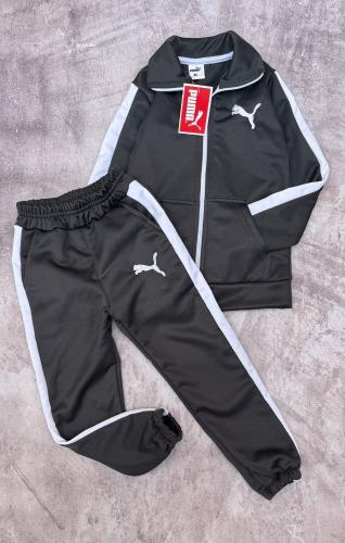 Conjunto Termico Pumma