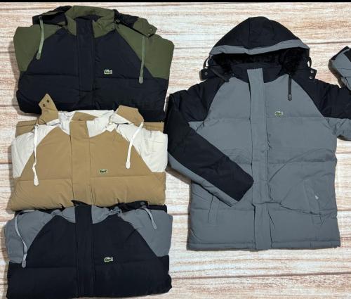 Campera Lacost