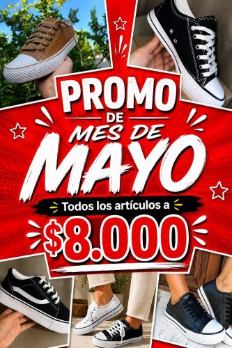 Zapatillas