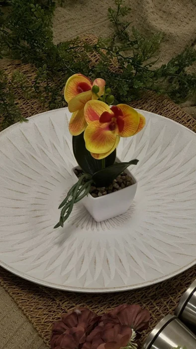 Orquídeas 26x20