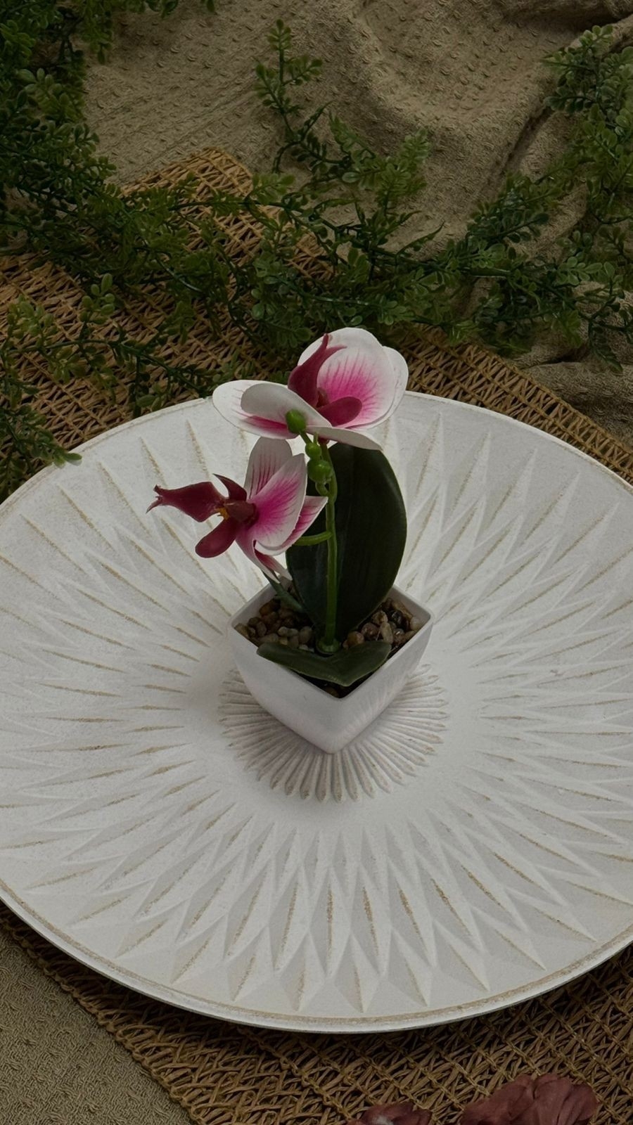 Orquídeas 26x20 - Imagen 2