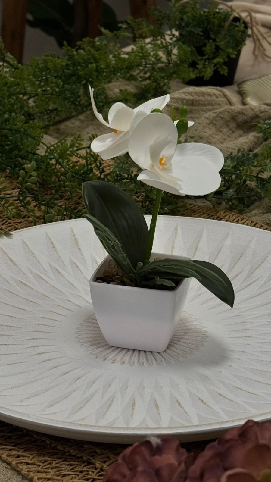 Orquídeas 26x20 - Imagen 3