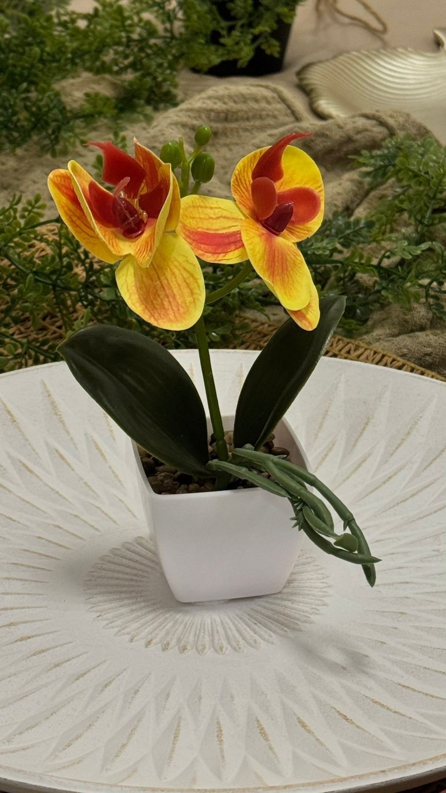 Orquídeas 26x20 - Imagen 5