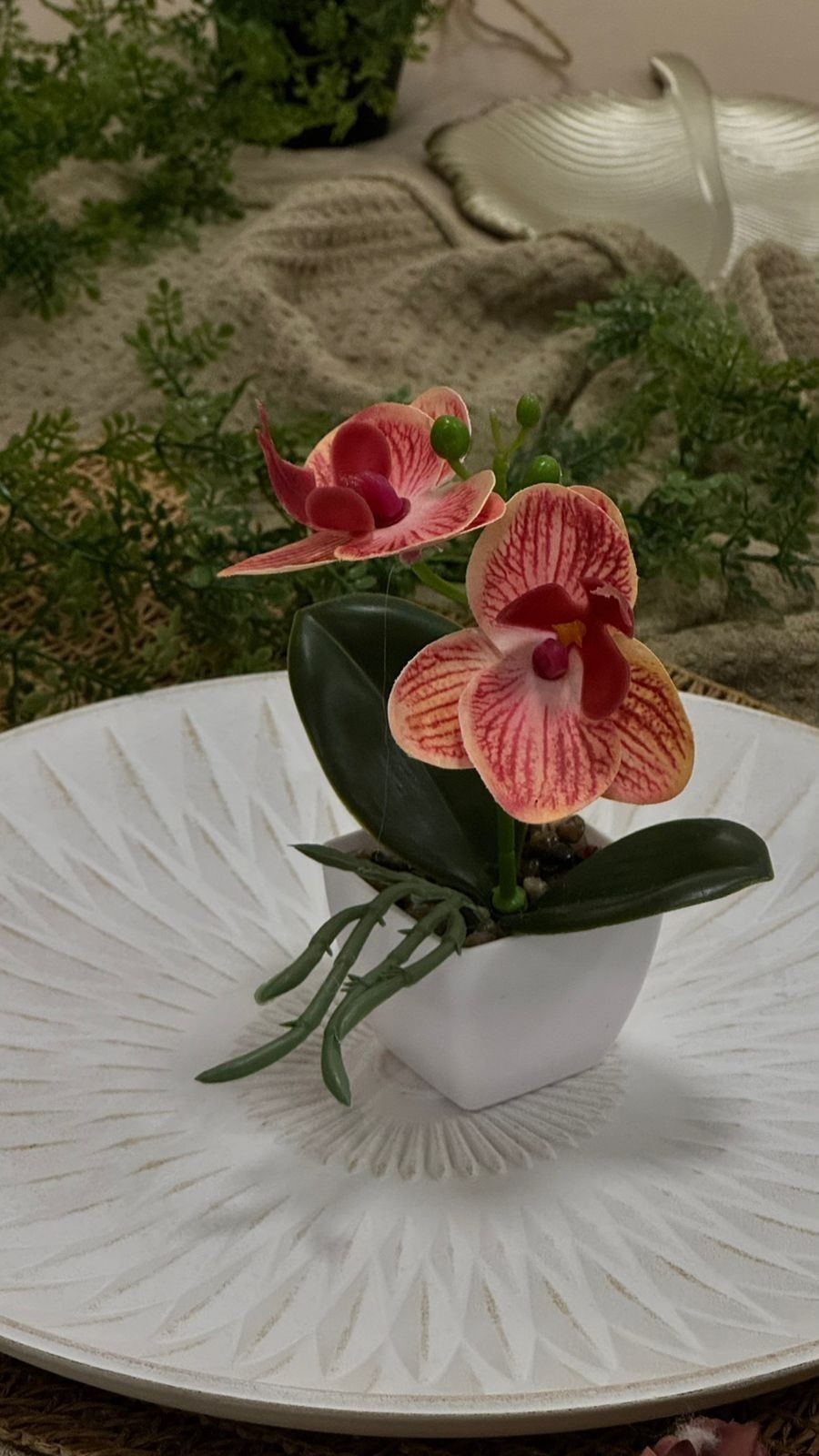 Orquídeas 26x20 - Imagen 6