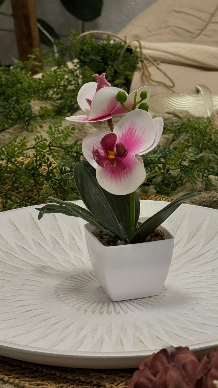 Orquídeas 26x20 - Imagen 7