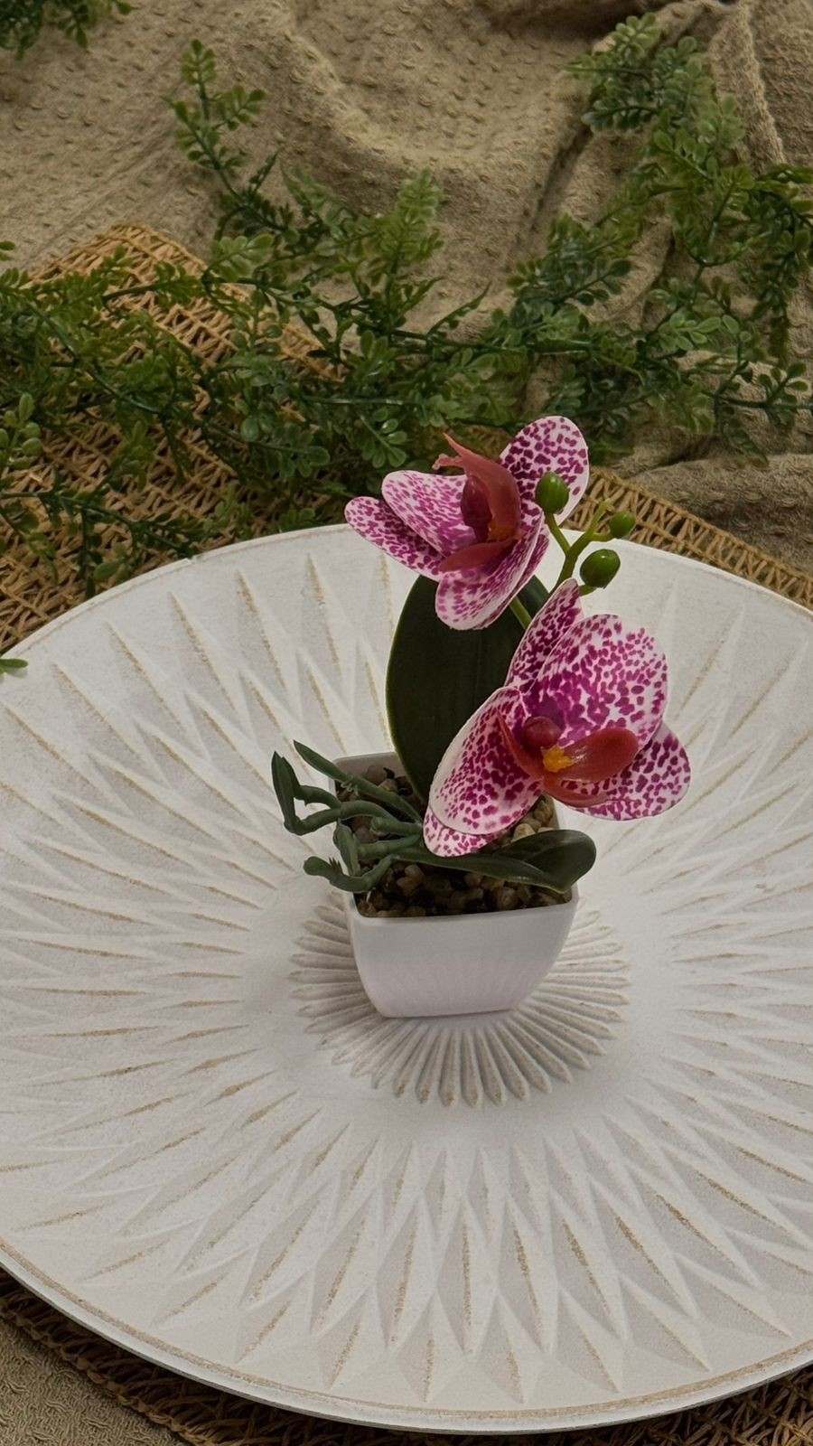 Orquídeas 26x20 - Imagen 8