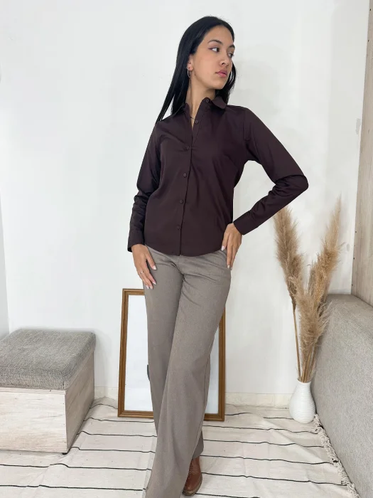 Camisas de Poplin Elastizado