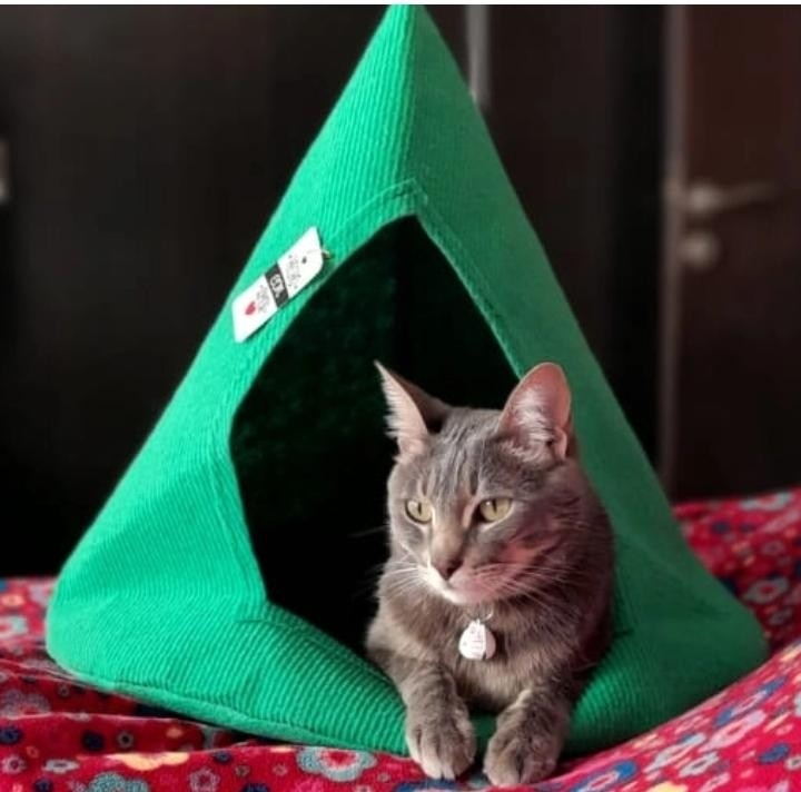 Conitos Térmicos Gatos Perros - Imagen 1