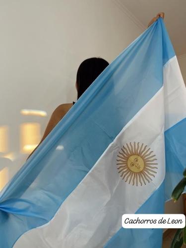 Camiseta de Argentina