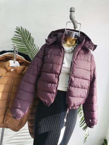 Puffer Verona