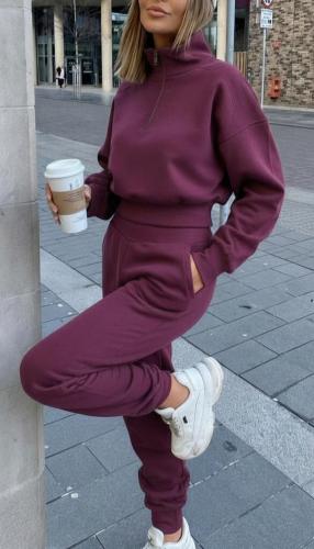 799_conjunto Frizado de Buzo Corto+ Jogging C/puño