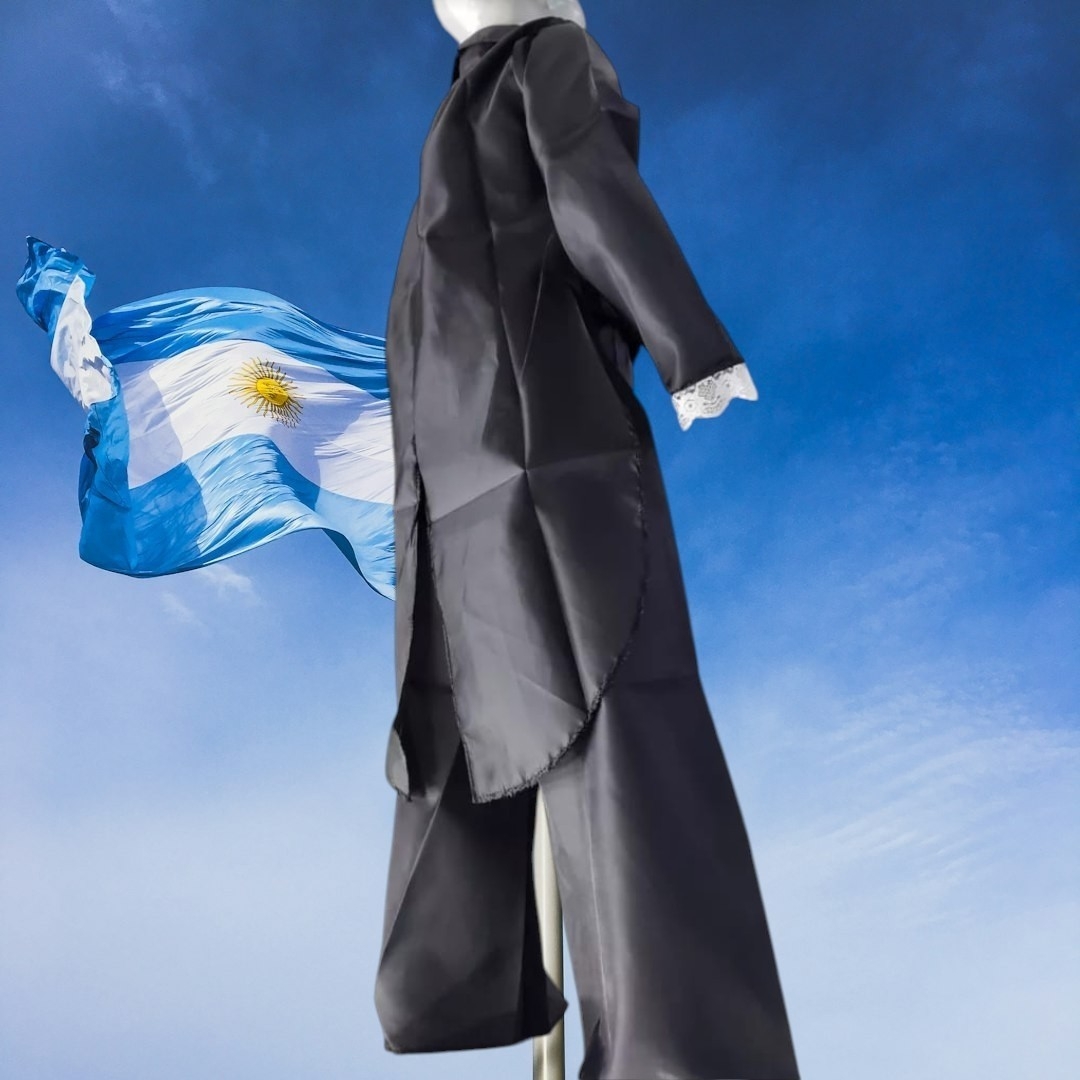 Disfraces de Fiesta Patrios - Imagen 2