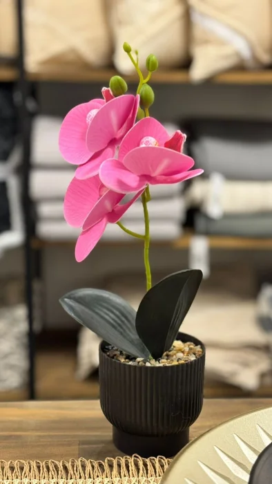 Orquídeas 36 Cm