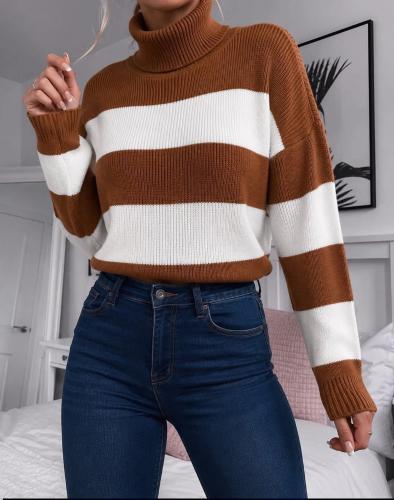Sweter Polera Rayado