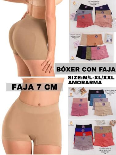 Boxer de Dama