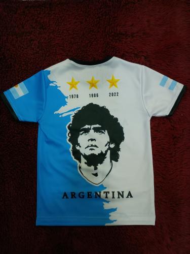 Camiseta/ Remera de Argentina - Miniatura 2