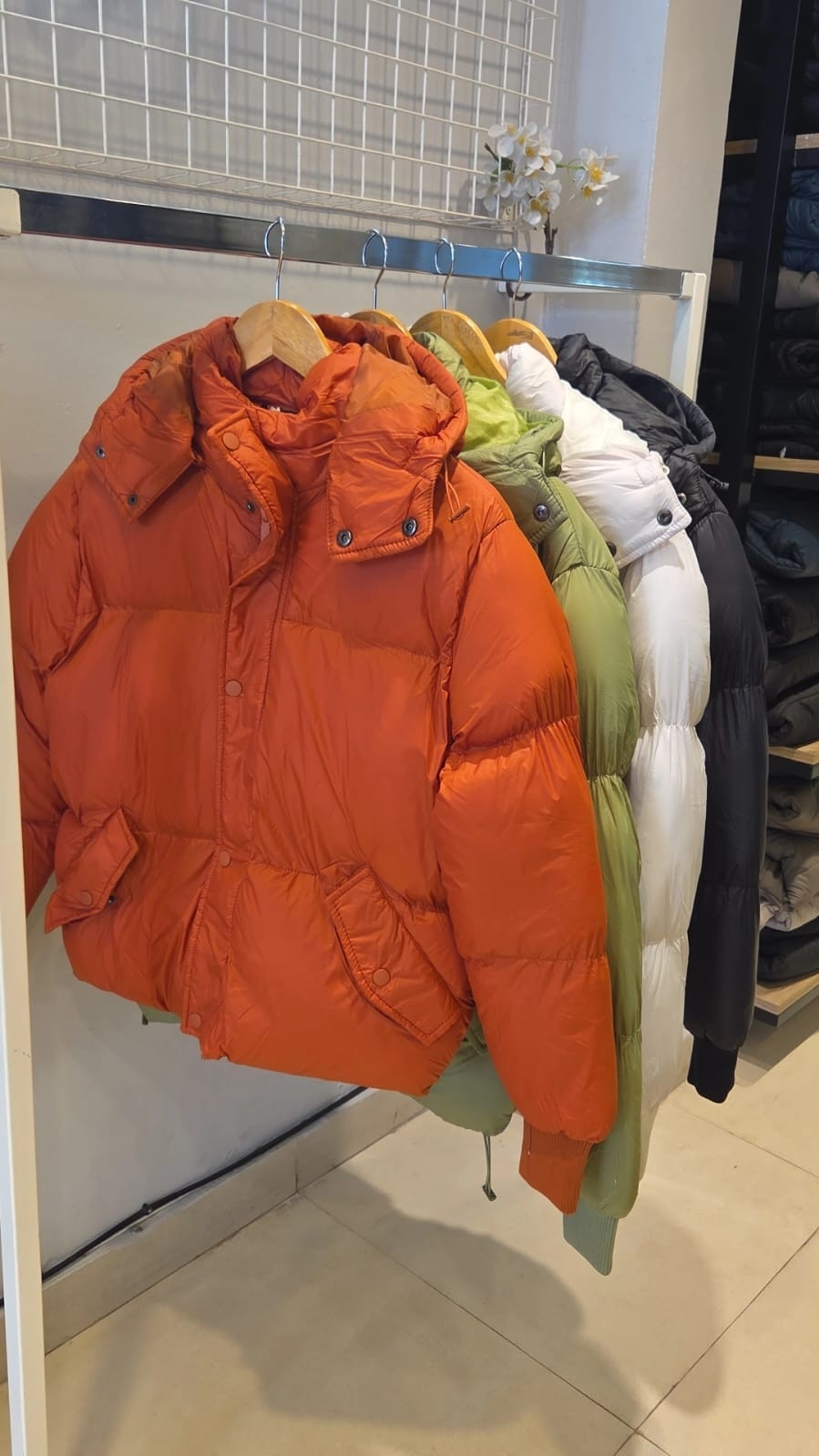 Puffers - Imagen 2