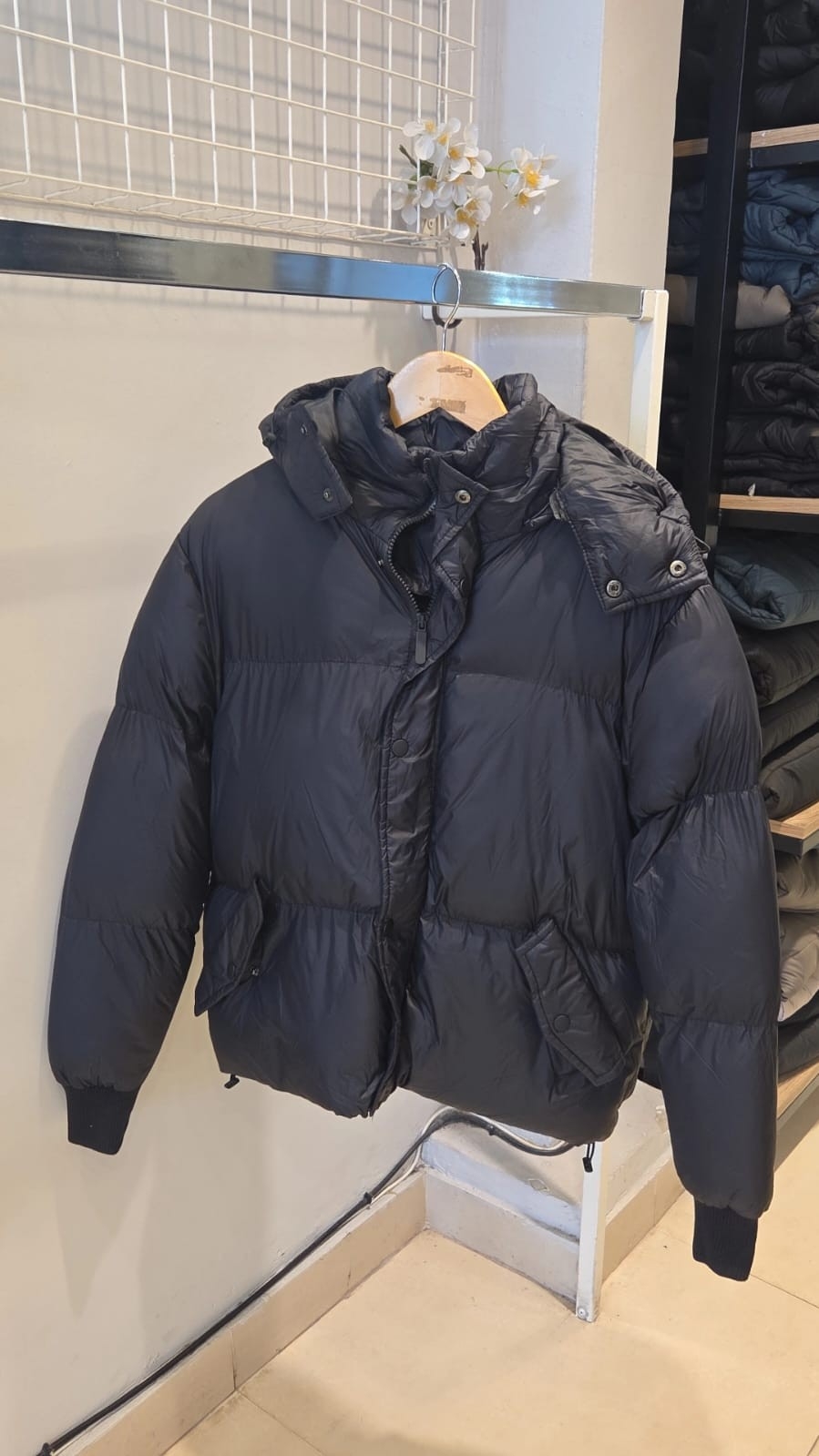 Puffers - Imagen 4