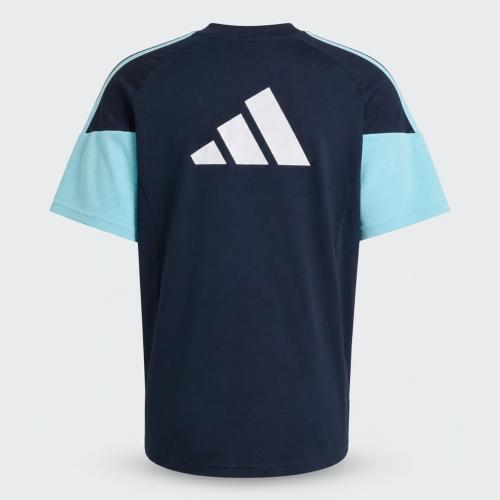 Remera Arg Afa - Miniatura 2