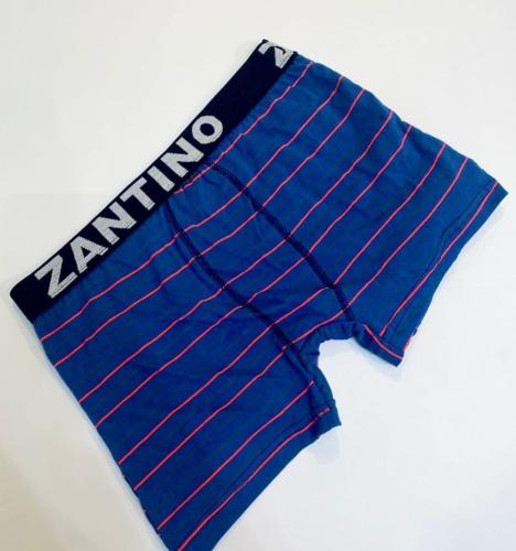 (art:bxh1) Boxer Zantino Rayado